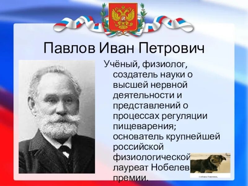 Доклад на тему ученые россии. День Российской науки.