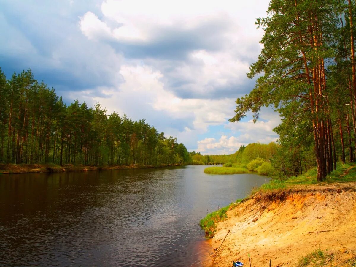 Река пра Мещера. Река пра Рязанская область. Рязань национальный парк «Мещёрский» река пра. Река Мещера Рязань. Мещера рязанская область