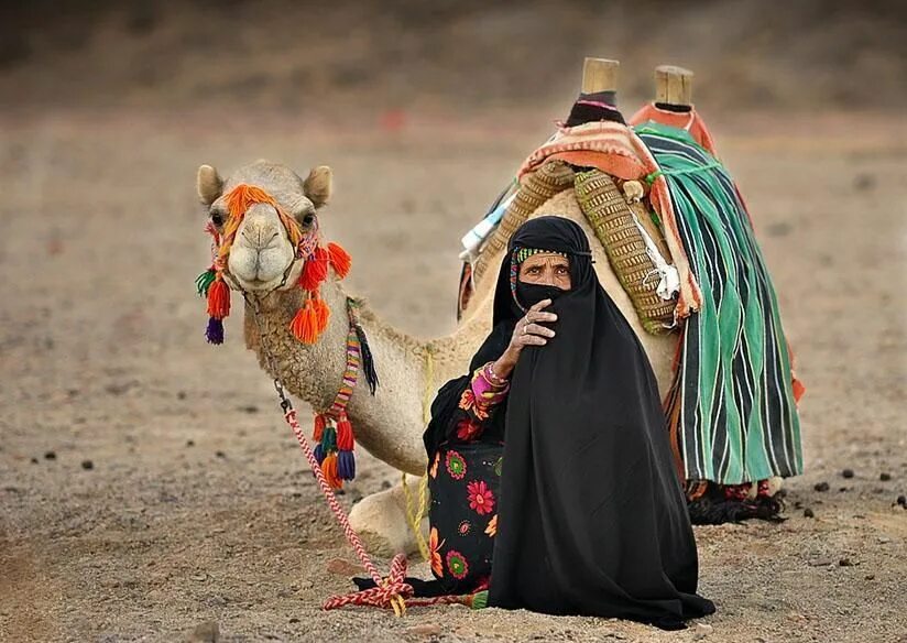 Верхняя одежда бедуинов 6 букв. Бедуины Саудовской Аравии. Бедуины Марокко. Бедуин на верблюде. Бедуины в Пакистане.