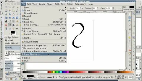 Extended input