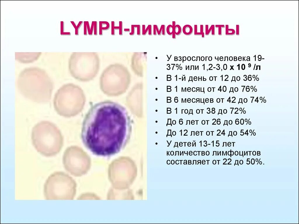 Lymph лимфоциты % 40.9%. Лимфоциты 49,9. Лимфоциты 47,3. Лимфоциты 41,1. Отклонения лимфоцитов