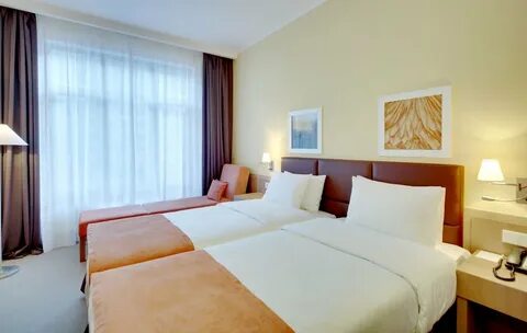 Golden tulip 4