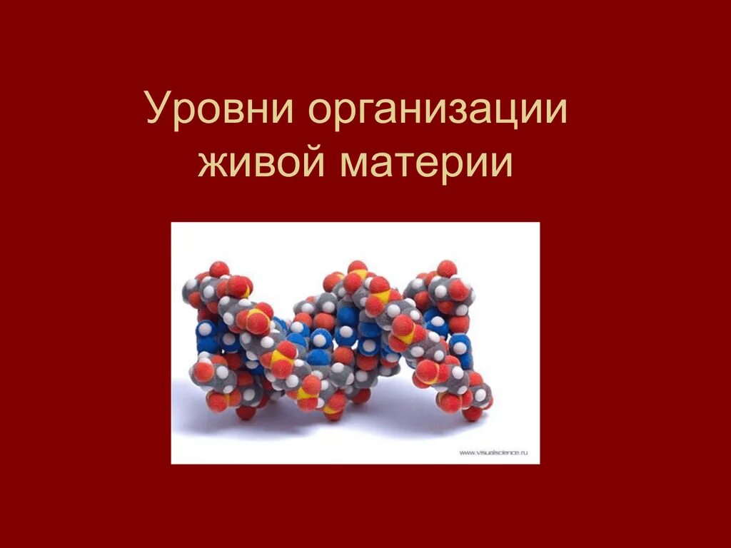 Ядро уровень организации живой материи. Уровни организации живой материи. уровни организации живого. уровни организации живой материи презентация. молекулярный уровень жизни.