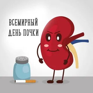 Устали почки