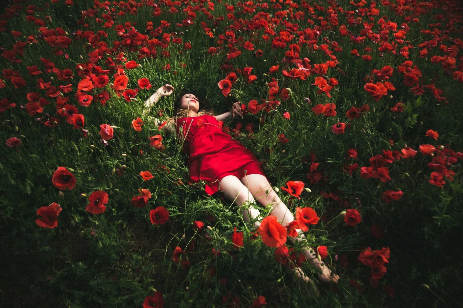 Девушка лежит в полне цветов. Сон на природе. Девушка лежит в розах. Человек лежит в цветах. Парень в маковом поле.