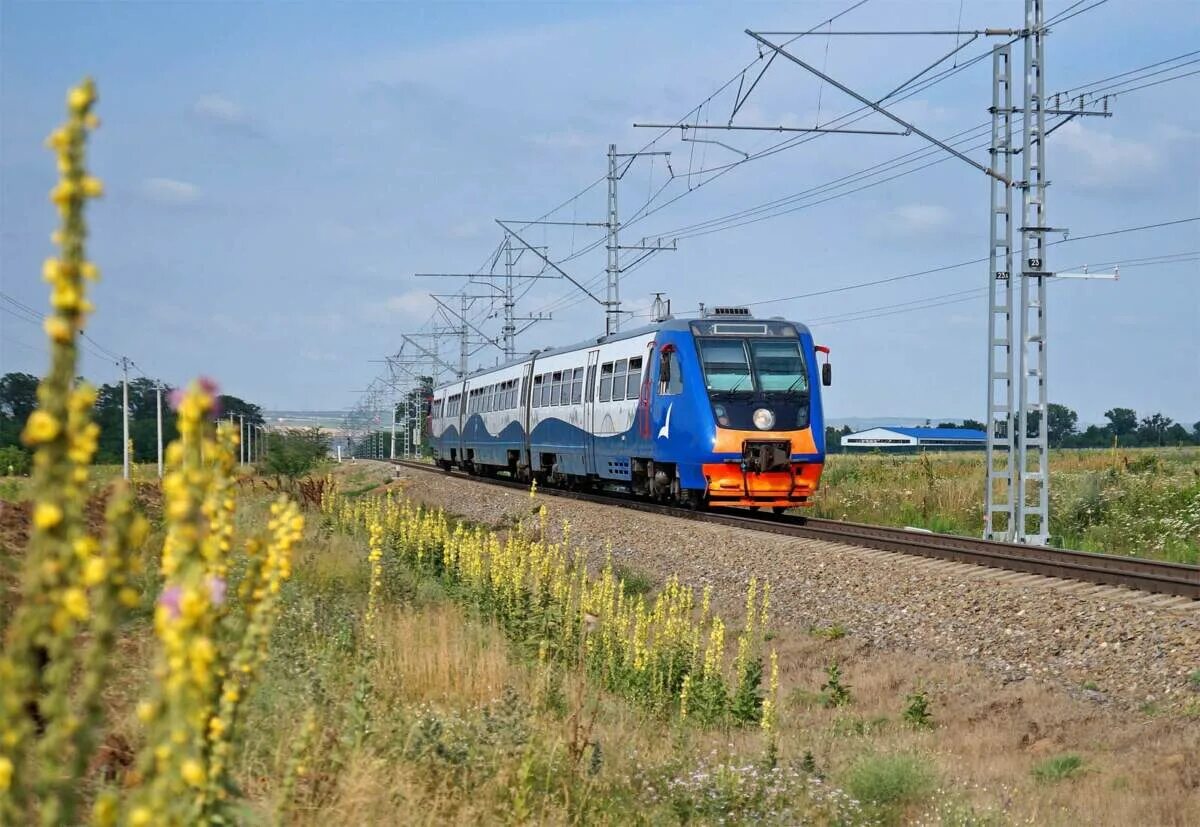 Будут ли поезда в анапу летом 2024. Рельсобус Анапа. Рельсовый автобус Керчь Анапа. Дизельный поезд. Рельсовый автобус.