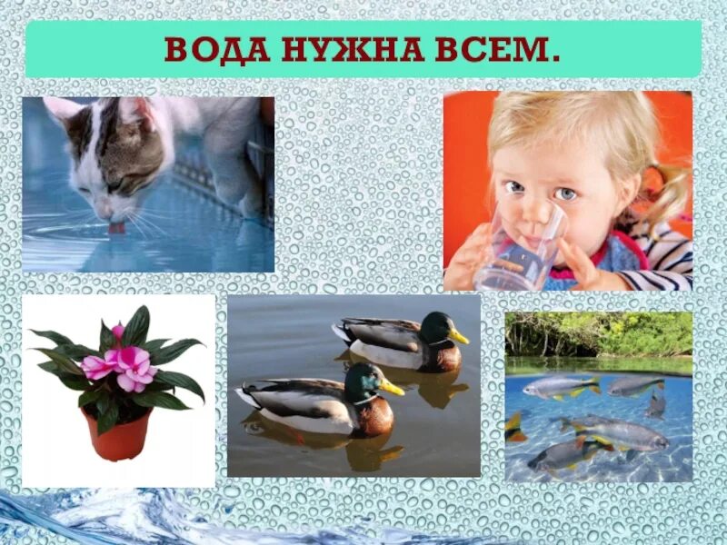 Для каких целей нужна вода. Вода нужна всем. Для чего нужна вода. Для чего нужна вода картинки. Почему человеку нужна вода.