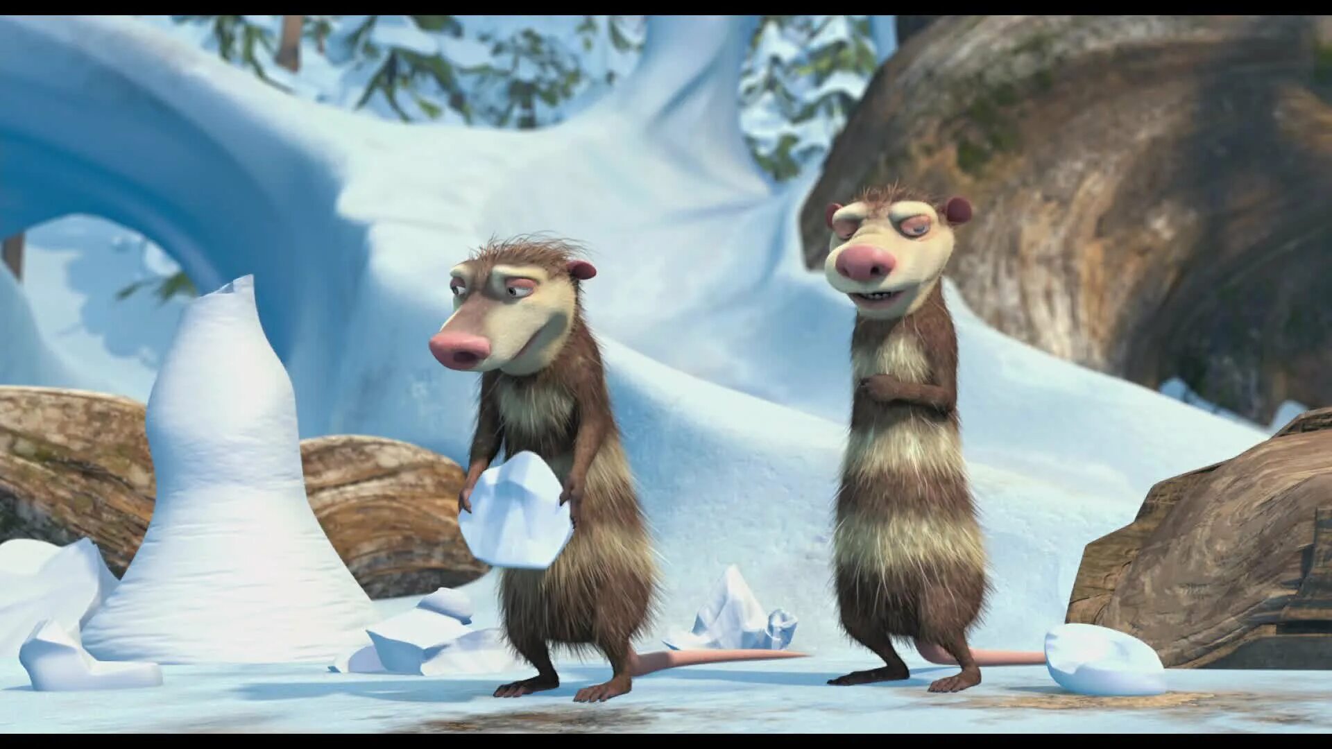 Ледниковый период 2 опоссумы. Ледниковый период два брата. Ледниковый период крэш и эдди. Опоссумы крэш и эдди. Опоссумы крэш и эдди.