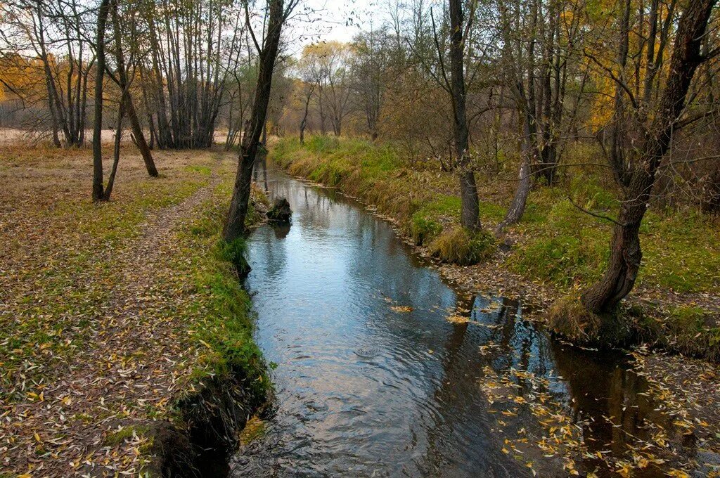 Измайловский парк. Измайловский лесопарк Москва. Измайловский парк ПКИО. Измайловский парк Измайлово.