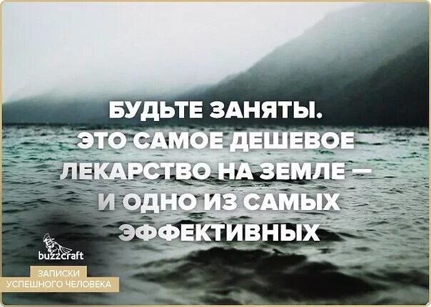 Будьте заняты цитаты. Будьте заняты это самое дешевое лекарство. будьте заняты это самое дешевое лекарство на земле. самое дешевое лекарство быть занятым.