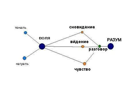 Точка разума