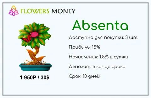 Денежные цвета 2024 год