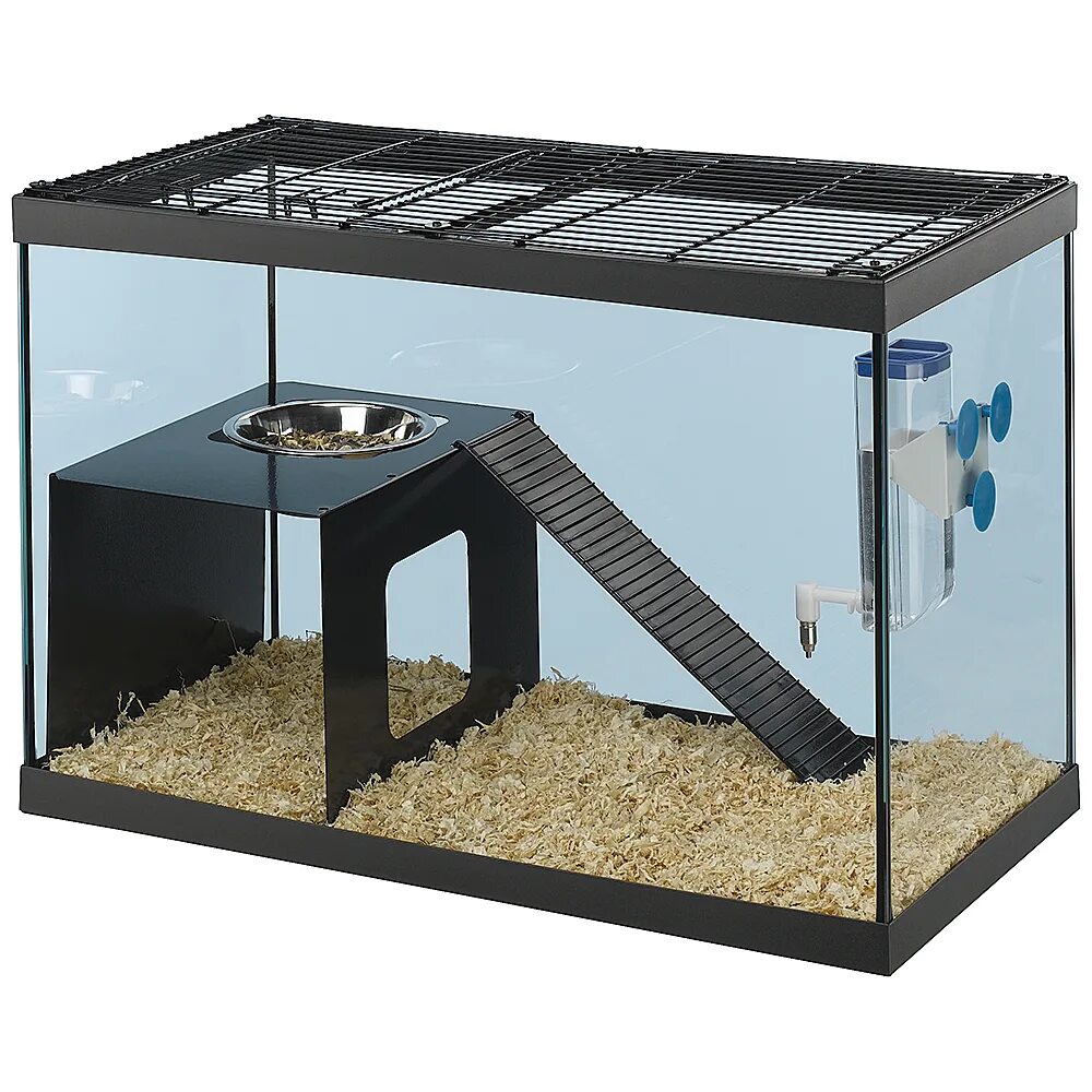 Экспериментатор поместил лабораторную мышь в террариум. Флорариум с миртом. Замкнутая экосистема дэвида латимера. Аквариум для маисового полоза. Клетка террариум для грызунов ferplast.