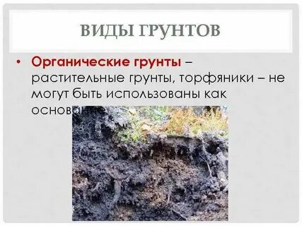 Органические грунты