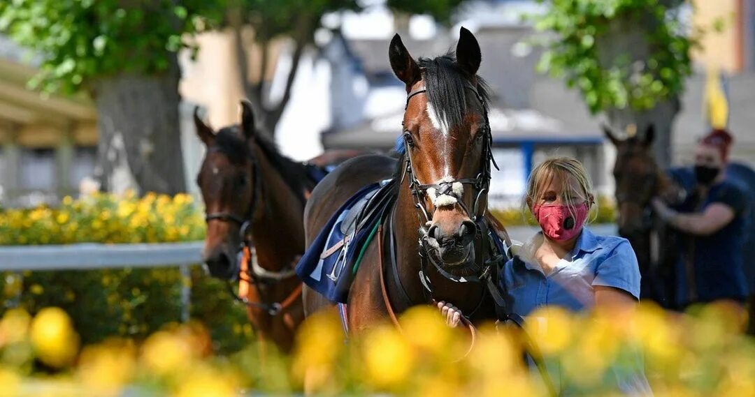 3pm05 диодный мост характеристики. Диодный мостик 3рм4. Фитинг 20 sp+20pp. Рюкзак хилти красный. Часы digital clock 200730138828.