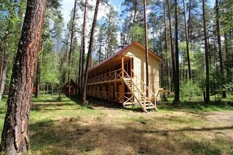 Бузулукский бор снять домик