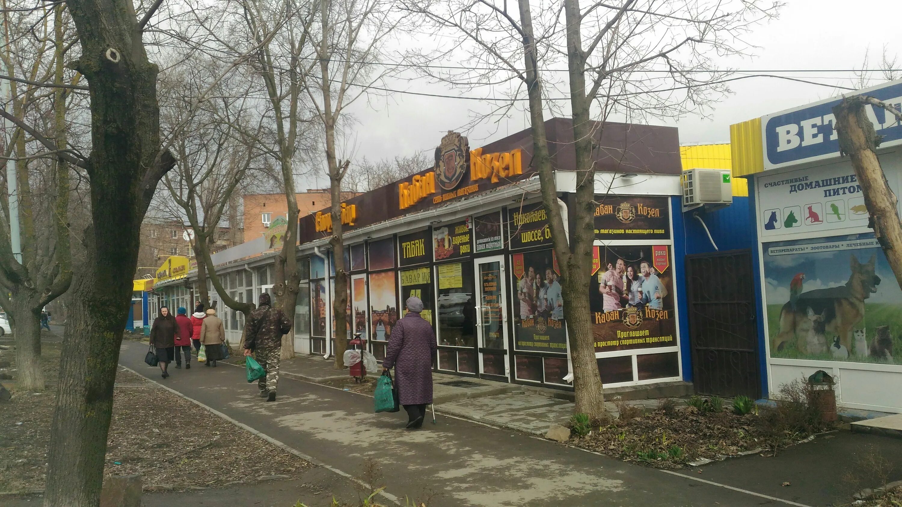 Дворец алфераки таганрог. Зоомагазин зоосити таганрог бакинская 2 е. Бассейн наутилус таганрог. Архитектура таганрога. Таганрог ул маршала жукова 1е.