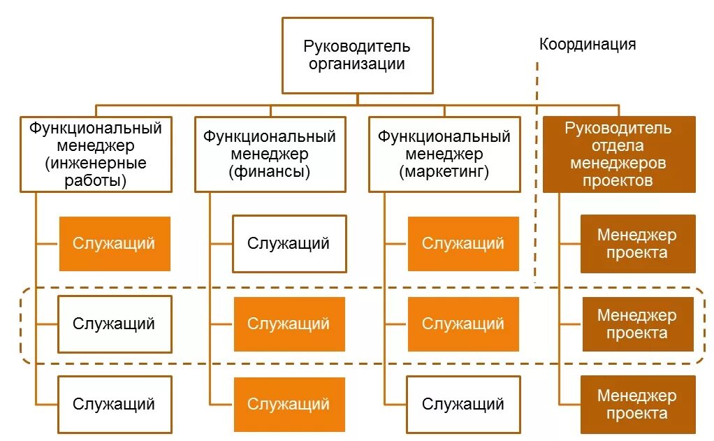 Функциональный руководитель в организации. Схема организационной структуры руководитель отдела продаж. Схема управления проектом. Проектная организационная структура проекта. Проектирование структуры организации.