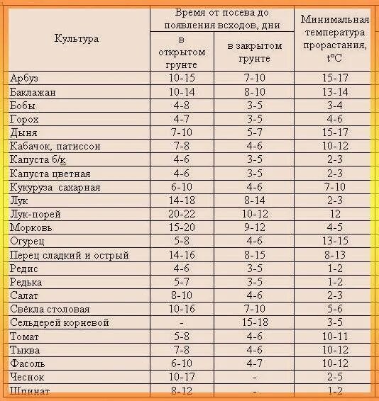 Через сколько всходят помидоры после посадки. Сроки прорастания семян таблица овощей. Сроки прорастания семян рассады овощей. Сроки всхожести семян таблица. Сроки всхожести семян овощей таблица.