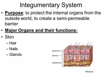 System purpose