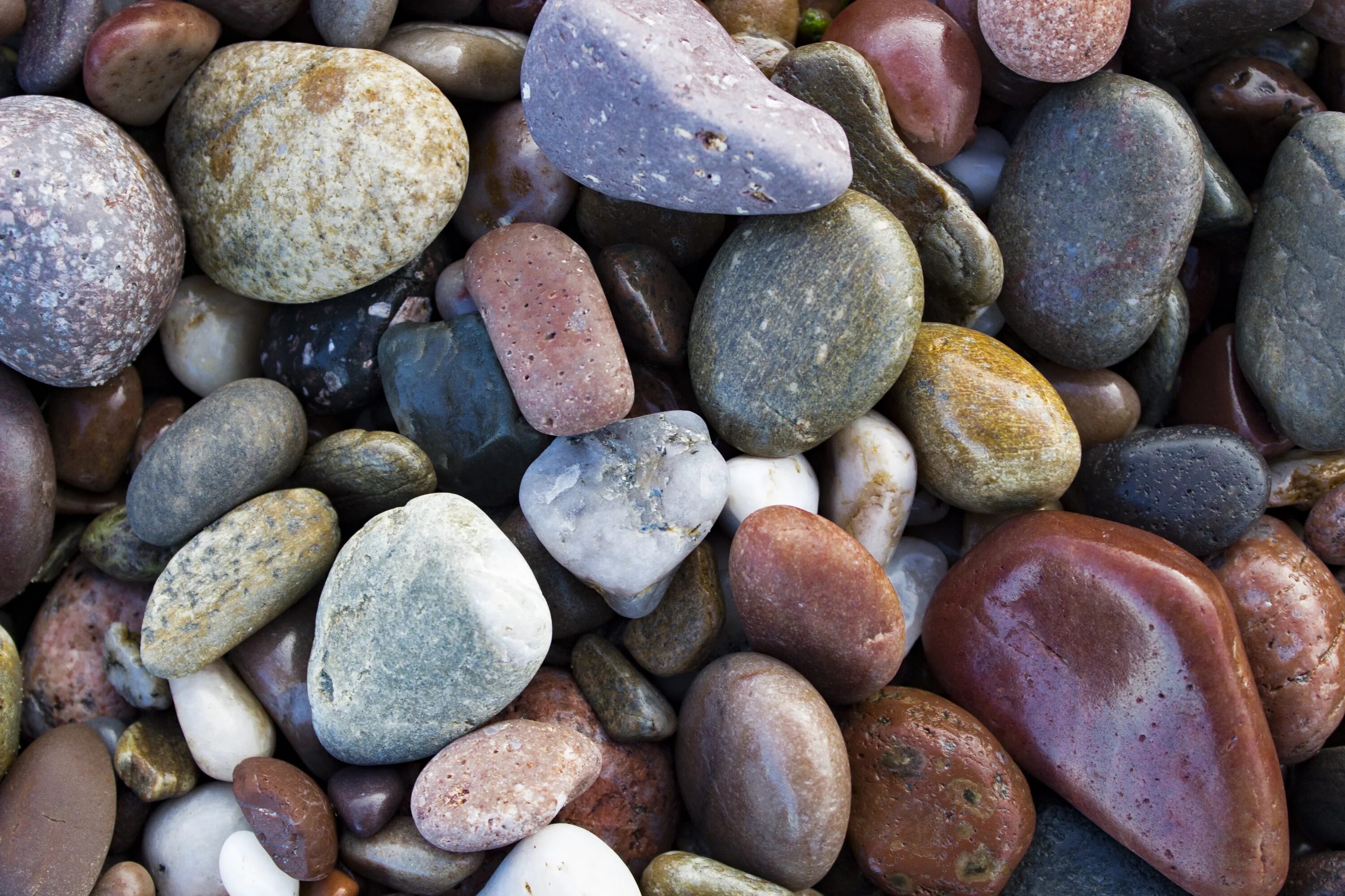 Галька размер. Галечник камень. Камни морская галька. Красивые камушки. Разноцветная морская галька.