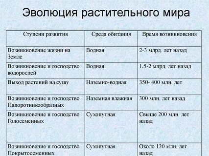 Какие эволюционные приобретения появились