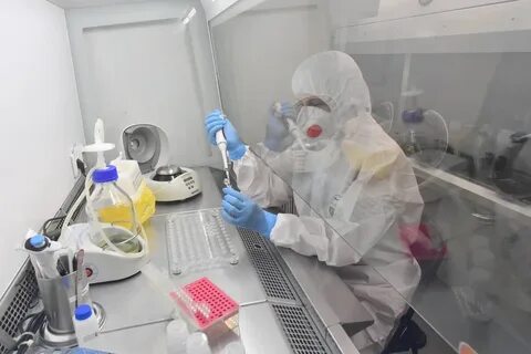 Новая пандемия 2024 года
