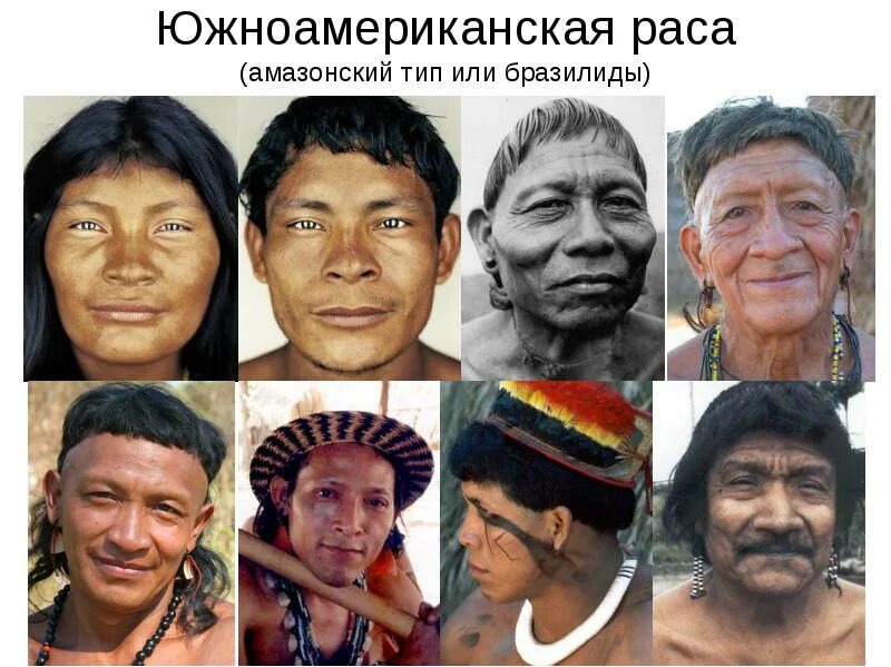 Южносибирская раса народы. Американоиды раса. Американская монголоидная малая раса. Южносибирская раса внешность.
