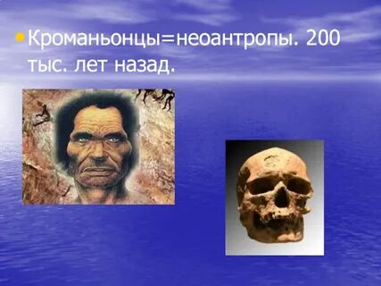 Особенности строения и образ жизни неоантропы
