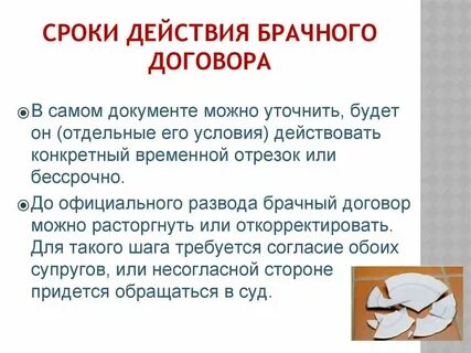 Какие условия можно включить в брачный договор