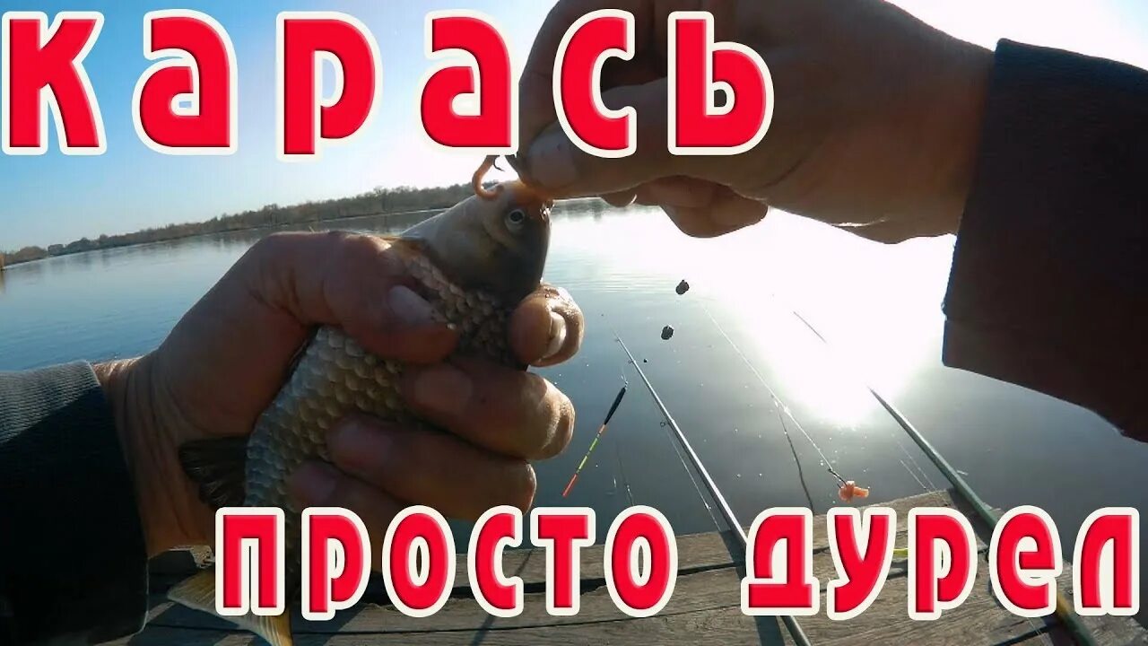 Карась дуреет от этой снасти. Я дурею с этой снасти. Мопс на рыбалке. Мопс на рыбалке. Автоконтролька своими руками.