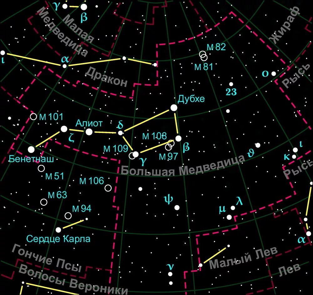 Звездное небо расположение. Созвездие стрельца от большой медведицы. Созвездие большая Медведица на карте звездного неба. Созвездие медведицы на карте звездного неба. Карта звездного неба с названиями созвездий большая Медведица.