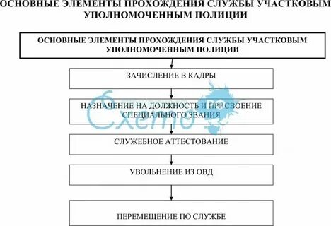 Особенности прохождения службы в органах прокуратуры