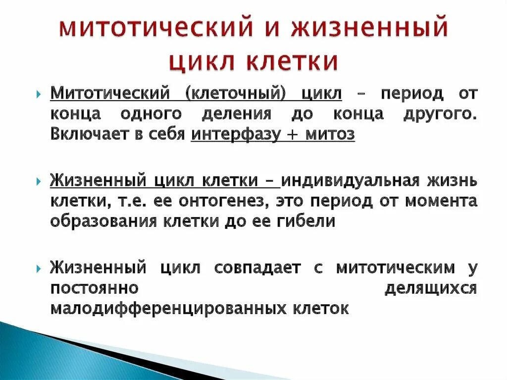 Жизненный цикл клетки определение. Жизненный и митотический цикл клетки. клеточный и митотический циклы. жизненный цикл клетки митотический цикл. митотический,жизненный и клеточный циклы клеток.