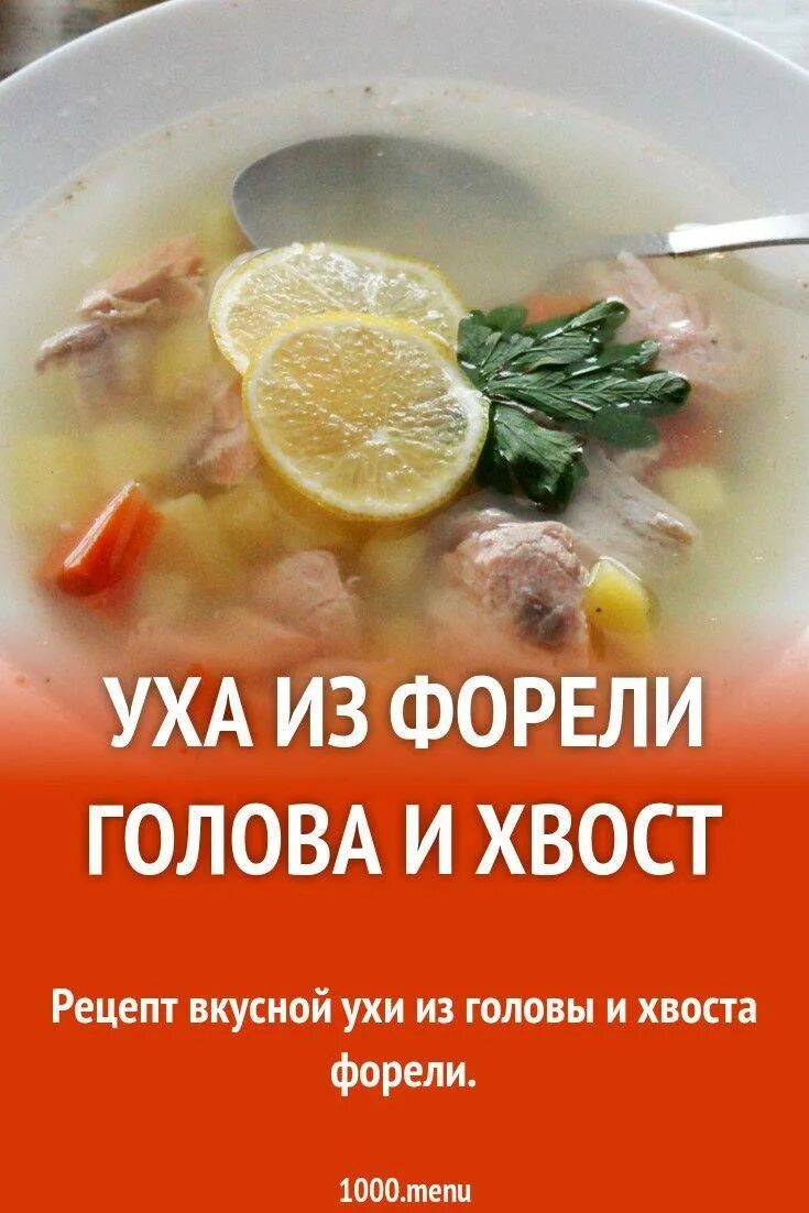 Суп из рыбных голов и хвостов форели. Уха из форели. уха из форели головы и хвоста. уха из головы форели. уха с форелью.