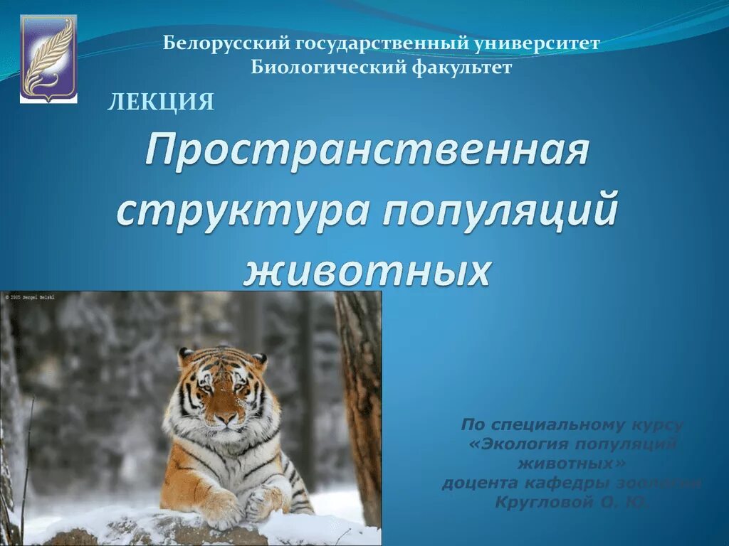 5 популяций животных. Пространственная структура популяции. Пространственная структура популяций животных. Пространственная структура популяций животных таблица. Пространственная структура популяций растений и животных.
