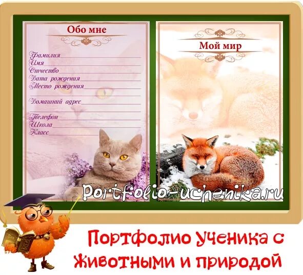 Портфолио животных. Портфолио животных
