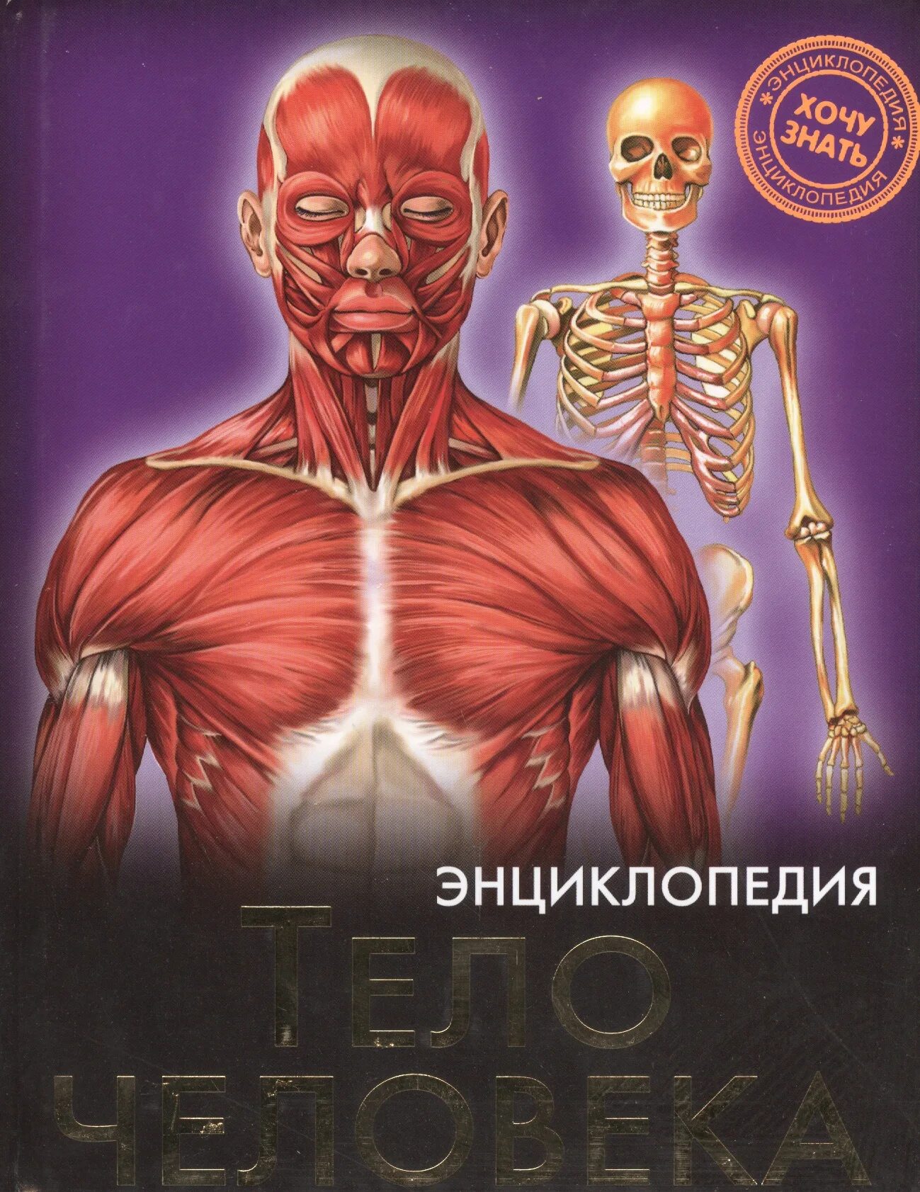 Энциклопедия тело человека. Тело человека энциклопедия для детей. Книга про организм человека. Человек. Энциклопедия. Книга энциклопедия человек