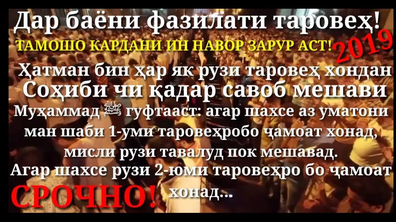 Тарзи хондани намозхо. Таровеҳ намози. Хондани намози таровеҳ. Нияти намози таровеҳ. Фазилати намози.