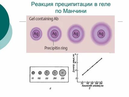 Двойная реакция