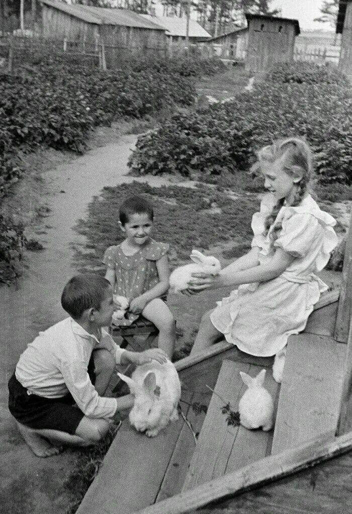 Photo from album "1950-е в цвете" on 1950's