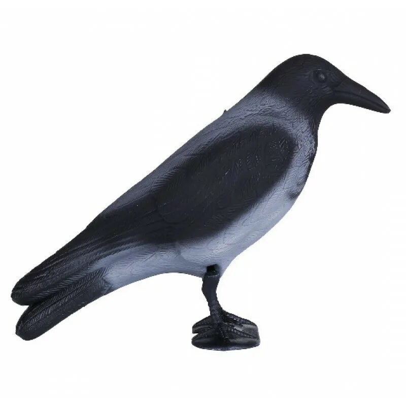 Серая ворона чучело. Ворона чучело пластик. Чучело вороны для охоты. Серая ворона чучело. Чучело вороны для охоты.