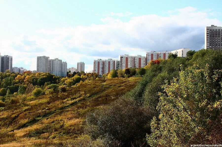Сходненская (тушинская) чаша (ковш). Парк сходненский ковш москва. Парк сходненский ковш. Сходненский лесопарк. Сходненский ковш в тушино.