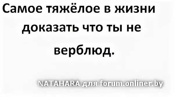 Доказать что не верблюд. Доказывать что ты не верблюд. Доказывай что ты не верблюд. Доказывать что ты не верблюд цитаты.