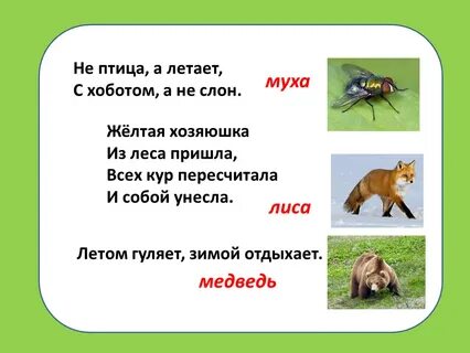 Какое лесное животное не любил пушкин
