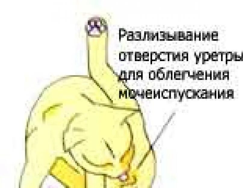 Почему у кошек воняет моча
