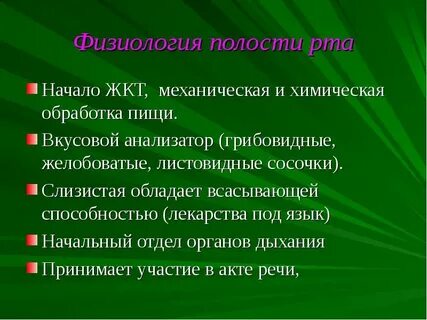 Механическая обработка пищи в ротовой полости