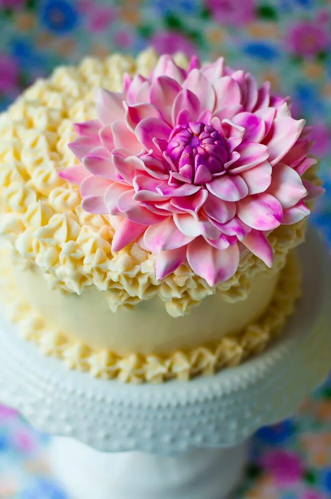 Cake tutorials