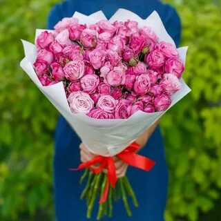 Леди бомбастик кустовая