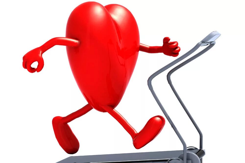 Тренированность сердца. Сердечно-сосудистые заболевания. Влияние спорта на сердечно-сосудистую систему. Здоровое сердце. Тренированное сердце.